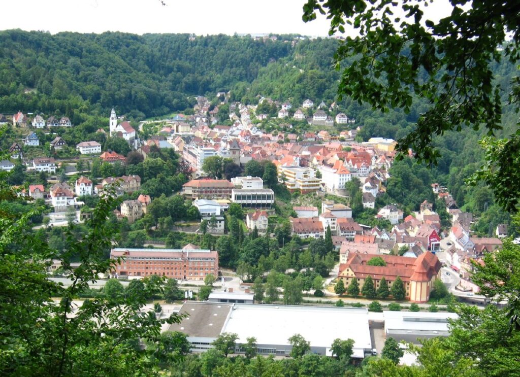 Blick auf Oberndorf am Neckar